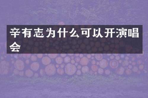 辛有志为什么可以开演唱会