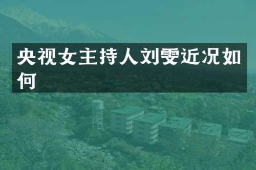 央视女主持人刘雯近况如何