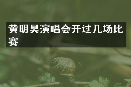 黄明昊演唱会开过几场比赛