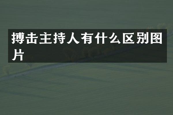 搏击主持人有什么区别图片