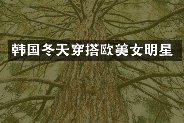 韩国冬天穿搭欧明星