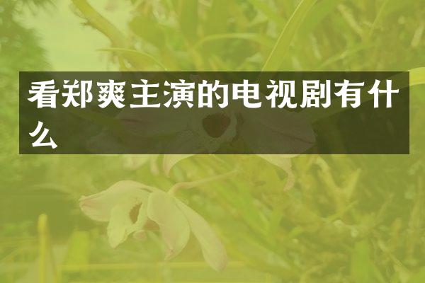 看郑爽主演的电视剧有什么