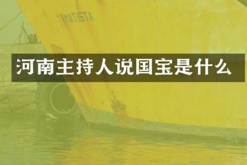 河南主持人说国宝是什么