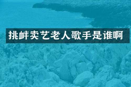 挑衅卖艺老人歌手是谁啊