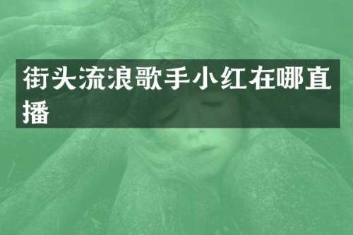 街头流浪歌手小红在哪直播