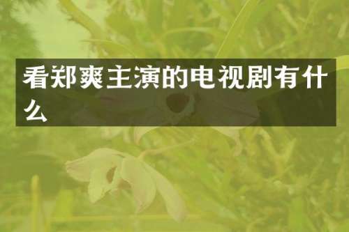 看郑爽主演的电视剧有什么