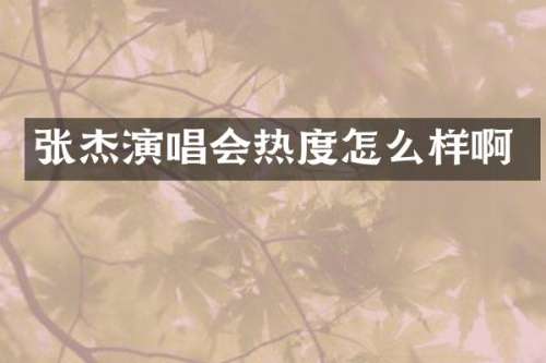张杰演唱会热度怎么样啊