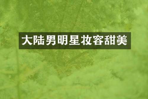 大陆男明星妆容甜美