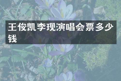 王俊凯李现演唱会票多少钱