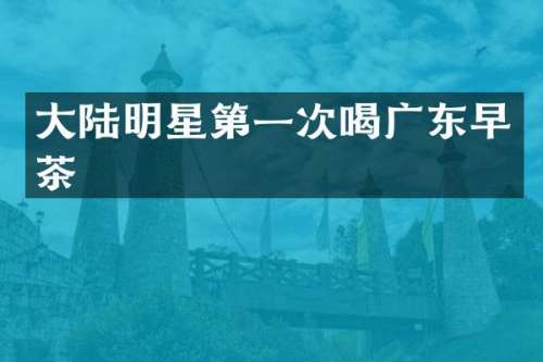 大陆明星第一次喝广东早茶