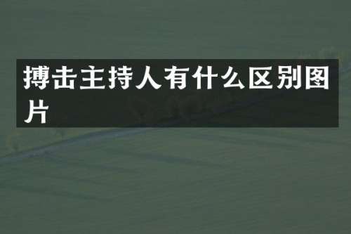 搏击主持人有什么区别图片