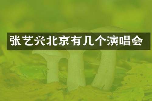 张艺兴北京有几个演唱会