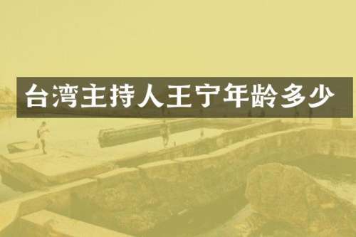 台湾主持人王宁年龄多少