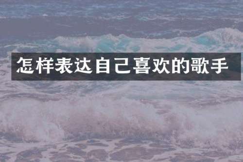 怎样表达自己喜欢的歌手