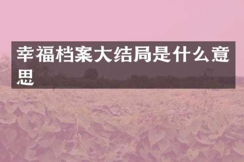 幸福档案大结局是什么意思