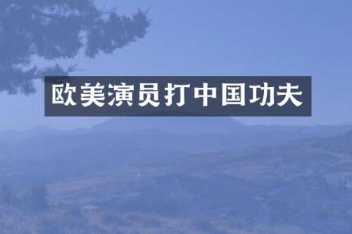 欧美演员打中国功夫