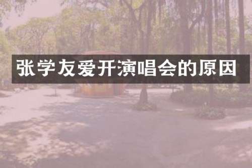 张学友爱开演唱会的原因