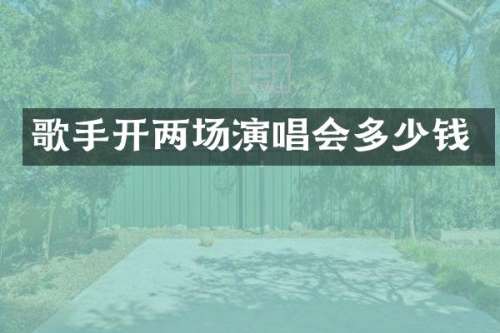 歌手开两场演唱会多少钱