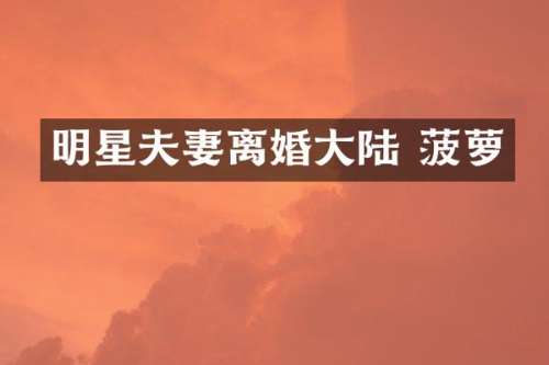 明星夫妻离婚大陆 菠萝