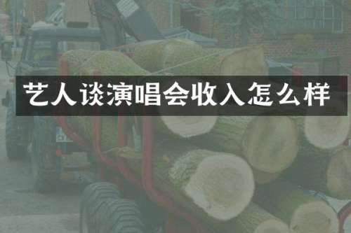 艺人谈演唱会收入怎么样