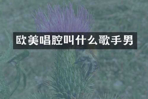 欧美唱腔叫什么歌手男