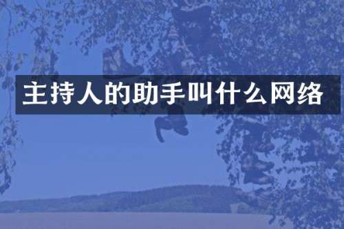 主持人的助手叫什么网络