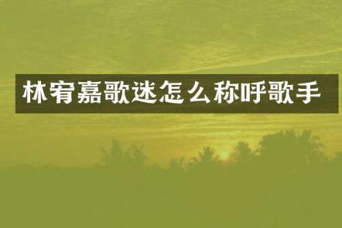 林宥嘉歌迷怎么称呼歌手