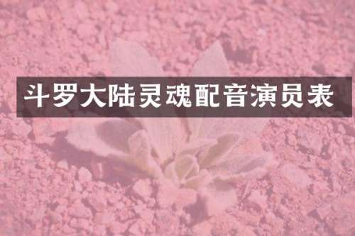 斗罗大陆灵魂配音演员表