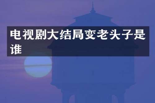 电视剧大结局变老头子是谁