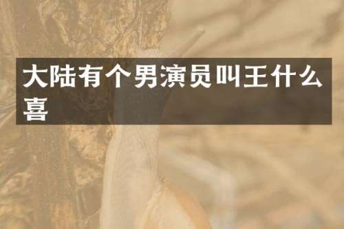 大陆有个男演员叫王什么喜