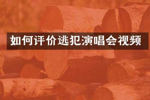 如何评价逃犯演唱会视频