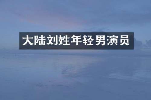 大陆刘姓年轻男演员