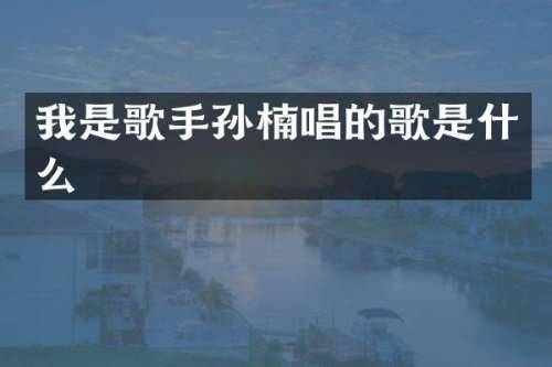 我是歌手孙楠唱的歌是什么