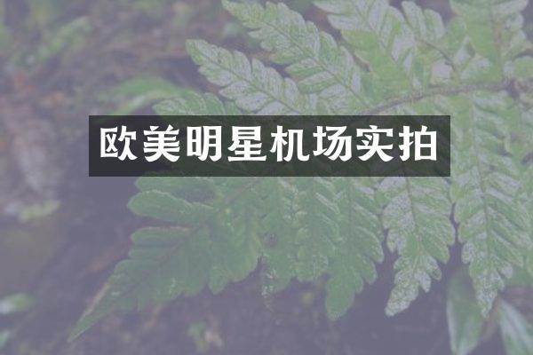 欧美明星机场实拍