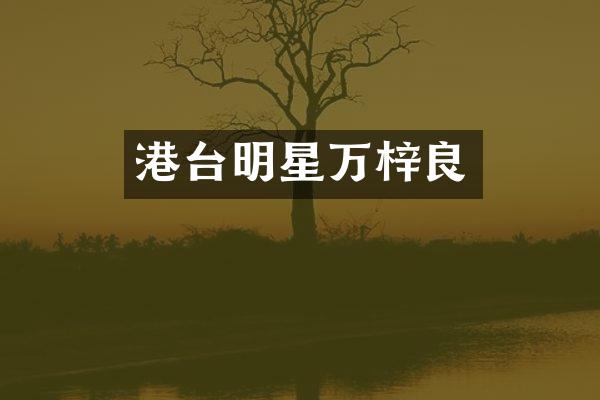 港台明星万梓良