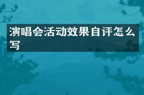 演唱会活动效果自评怎么写