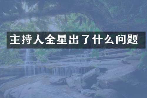 主持人金星出了什么问题