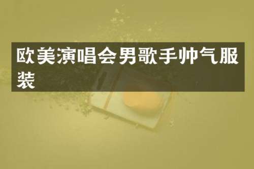 欧美演唱会男歌手帅气服装