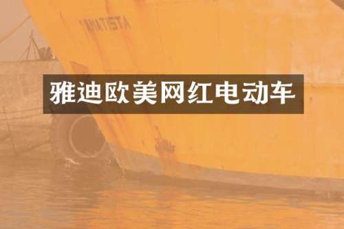 雅迪欧美网红电动车