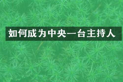 如何成为中央一台主持人