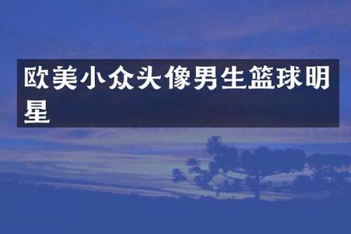 欧美小众头像男生篮球明星