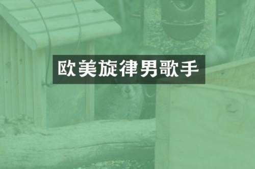 欧美旋律男歌手