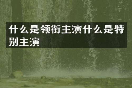 什么是领衔主演什么是特别主演