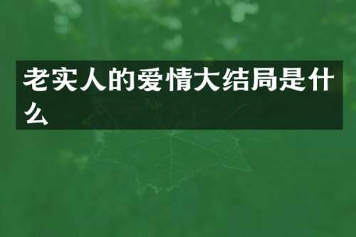 老实人的爱情大结局是什么