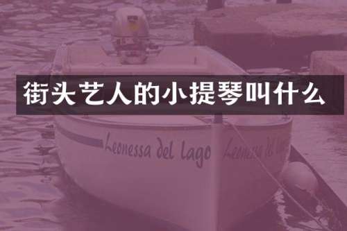 街头艺人的小提琴叫什么