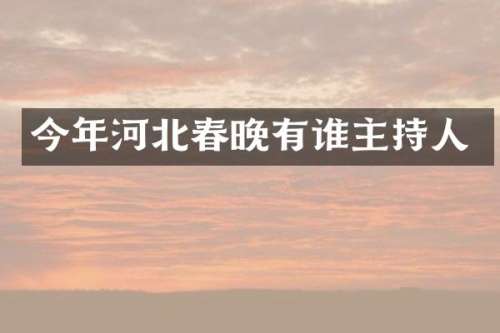 今年河北有谁主持人