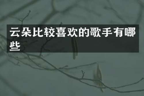 云朵比较喜欢的歌手有哪些