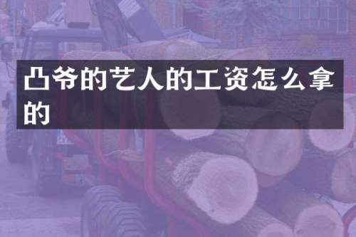 凸爷的艺人的工资怎么拿的