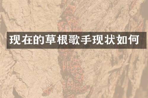 现在的草根歌手现状如何
