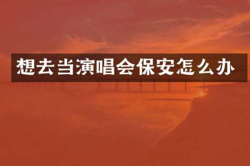 想去当演唱会保安怎么办